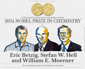 諾貝爾獎 諾貝爾獎