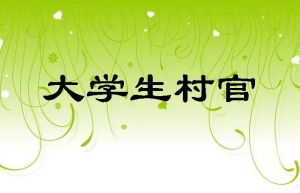 大學生村官考試 大學生村官考試