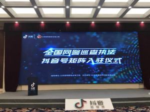 凈網行動 凈網行動