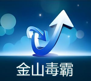 金山毒霸 金山毒霸