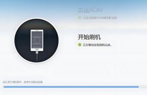 發展過程 發展過程